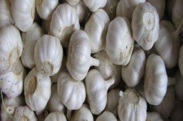 山东有哪些土特产,山东都有哪些土特产