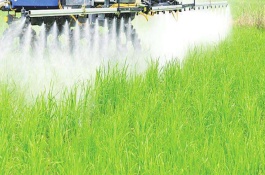 水溶肥使用禁忌，水溶肥的优点