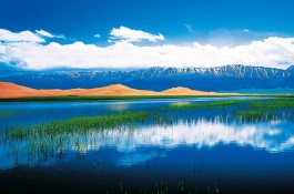 有哪些著名的青岛胶南特产