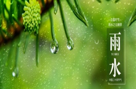 雨水节气的习俗是什么，雨水就一定会下雨吗
