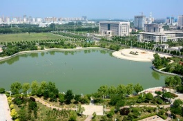 河南周口有哪些特产