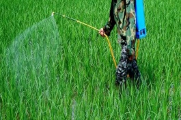 除草剂药害产生的人为原因及预防措施，用药量过多浓度过大