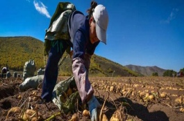 10个农村创业好项目，农机具租赁业