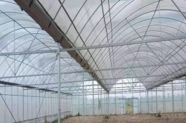 日光温室大棚（第五代温室大棚）造价多少钱，第五代温室性能特点