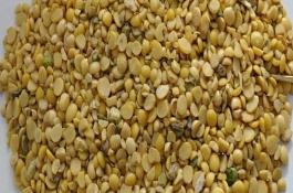 选购配合饲料时应该注意的问题，闻饲料的气味