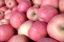 四川攀枝花有哪些特产，攀西大田石榴