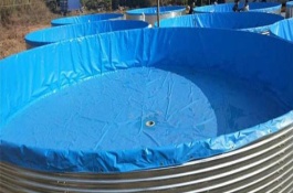 黔鱼是什么鱼，黔鱼养殖方法有哪些