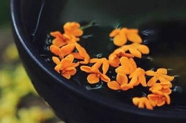 桂花酒是哪里的特产，桂花酒是中秋节经常饮用的一种佳酿