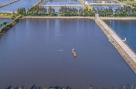 桂鱼苗品种及产地分布