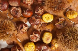 河南驻马店有哪些特产