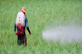 农药配比计算公式是什么，求两种药剂混用时的药剂用量