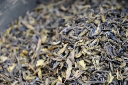 云南普洱有哪些特产，暴腌芭蕉心