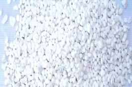 不能经常在蔬菜地施用化肥，使蔬菜硝酸盐的含量超超标