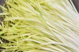 秋季开始降温，秋季如何管理韭菜种植