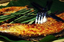 白鲫主要产地分布在哪里，白鲫产地分布白鲫也称“日本河内鲫”