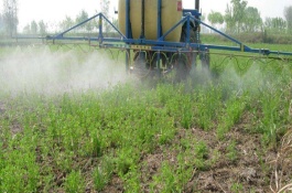 吡虫啉对人毒性大吗，吡虫啉的作用特点