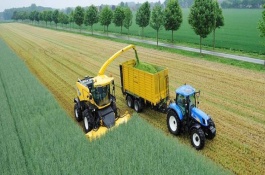 介绍黑龙江鹤岗六大特产