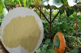 对肥料认识的常见误区，配方一样用量一样效果一样