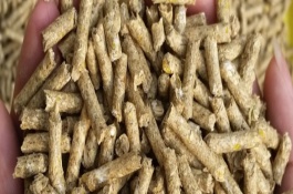 养殖户在选购饲料应注意哪些问题，新概念等于好产品