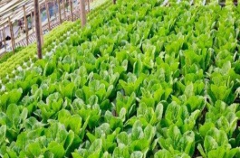 现在农村市场卖什么最赚钱，卖日常用品