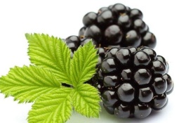 黑莓现在的价格是多少，黑莓种植前景分析