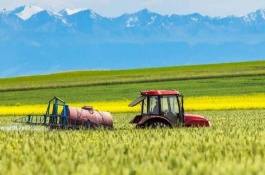 分析养羊的最新利润和成本，最新养羊的利润与成本一