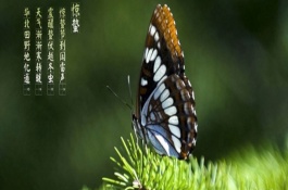 惊蛰节气是什么意思，惊蛰节气的气候特征