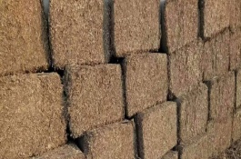 猪饲料品种介绍，蛋白质饲料