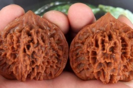 河北邯郸市有哪些特产,河北邯郸市有哪些特产