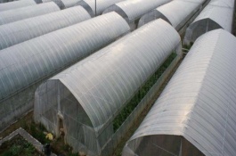 大棚薄膜怎么安装、固定、绷紧拉紧，大棚薄膜的种类