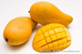 芒果今天的价格是多少，芒果种植前景分析