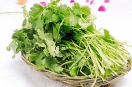 什么时候种香菜比较好，香菜种植方法