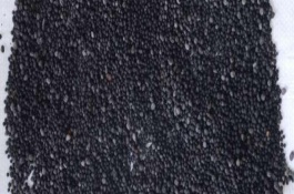 微生物菌剂和微生物菌肥有什么区别，微生物菌肥