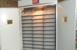 全自动孵化机使用方法，全自动孵化机多少钱一台