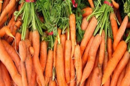 茄子蔬菜有哪些种类，茄果类蔬菜有哪些种类