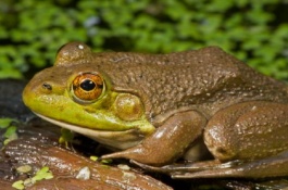 中小型农业机械有哪些规格