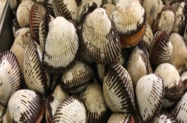 中国海鲜价格排名