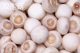 双孢蘑菇一斤多少钱，双孢菇的价格多少钱一斤