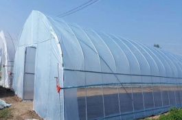 简易大棚搭建方法，作物水分蒸发