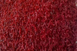 钓鱼的红虫怎么养,红虫养殖技术