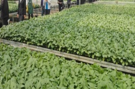 最新的小型加工厂项目有哪些，编织品加工厂