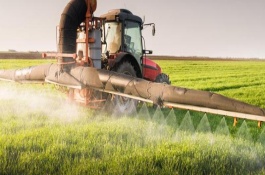 玉米田除草剂有哪些，三氮苯类除草剂