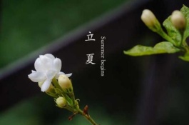 立夏的由来和习俗，立夏的习俗