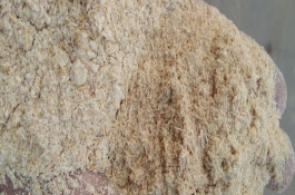 淡水虾有哪些常见品种，常见淡水虾价格