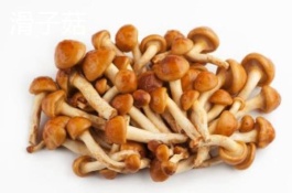 河北平泉市的特产是什么