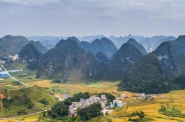 盘点广西南丹十大特产