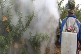 呋喃丹的应急处理处置方法，呋喃丹的防护措施