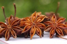 草莓苗哪里有便宜的批发,草莓苗哪里有便宜批发