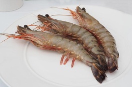 红虾品种及产地分布，中华管鞭虾