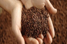 多菌灵主治那些病害,多菌灵主治果树病害